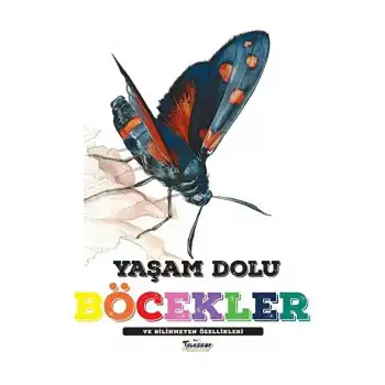 Yaşam Dolu Böcekler
