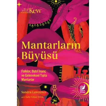 Mantarların Büyüsü