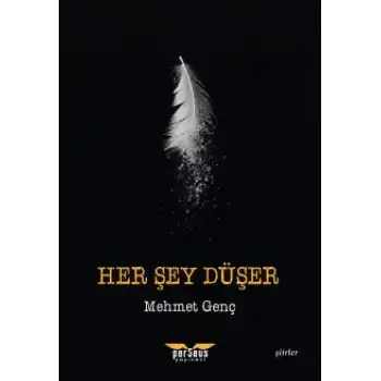 Her Şey Düşer