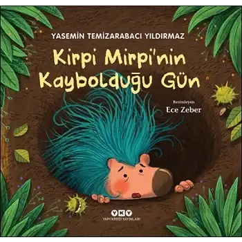 Kirpi Mirpi’nin Kaybolduğu Gün