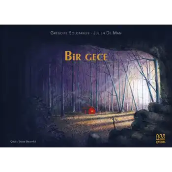 Bir Gece
