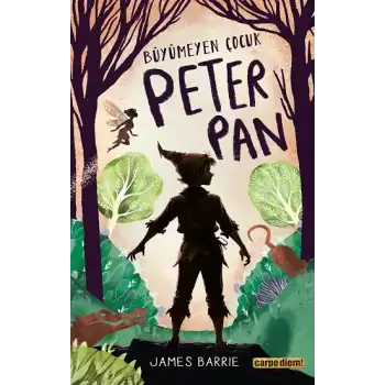 Büyümeyen Çocuk Peter Pan