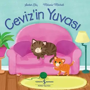 Ceviz’in Yuvası