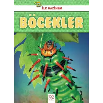 İlk Hazinem - Böcekler