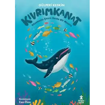 Kıvrımkanat - Okyanusta Çevre Dostu Bir Macera