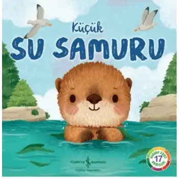 Küçük Su Samuru