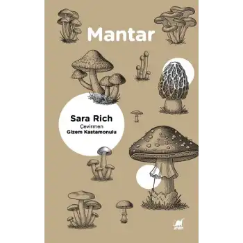 Mantar