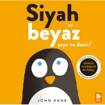 Siyah ve Beyaz Şeye Ne Denir?
