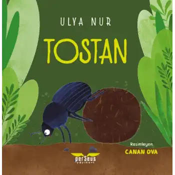 Tostan