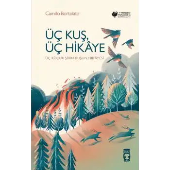Üç Kuş, Üç Hikaye