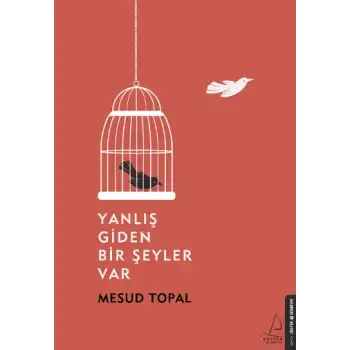 Yanlış Giden Bir Şeyler Var
