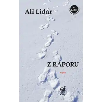 Z Raporu