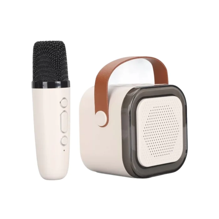 Bluetooth Hoparlör BT+TF+USB+AUX Karaoke Mikrofonlu Platoon PL-4562