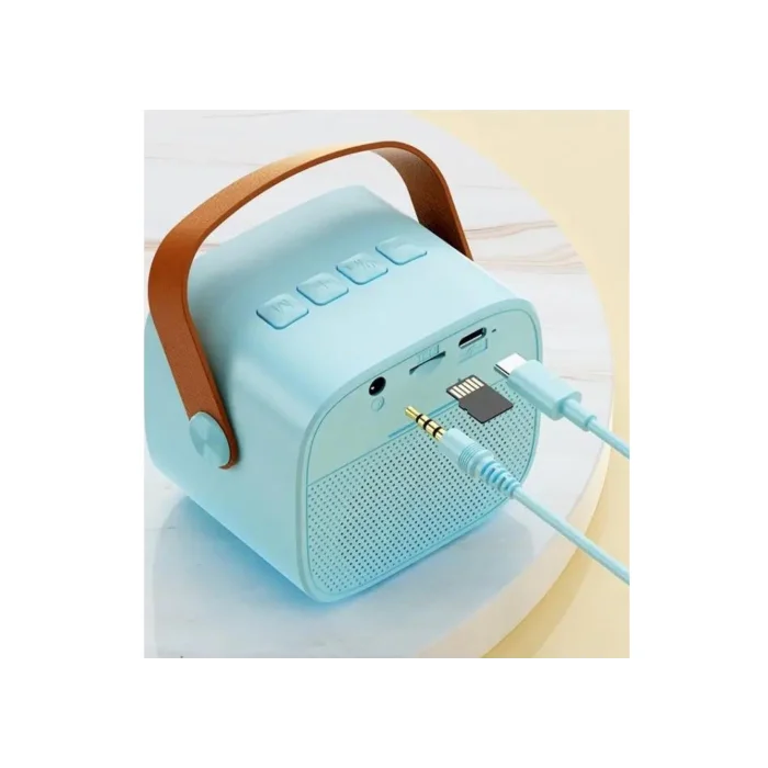 Bluetooth Hoparlör BT+TF+USB+AUX Karaoke Mikrofonlu Platoon PL-4562