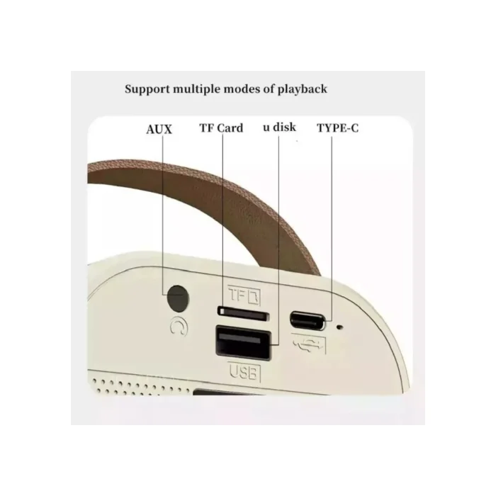 Bluetooth Hoparlör BT+TF+USB+AUX Karaoke Mikrofonlu Platoon PL-4562