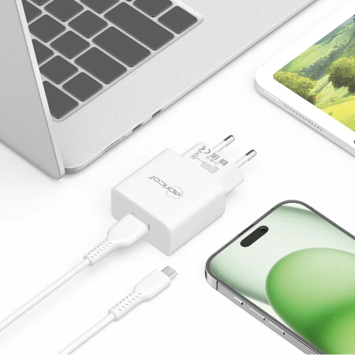 Şarj Aleti Takım Micro 2.4A Apricot APC-U210M