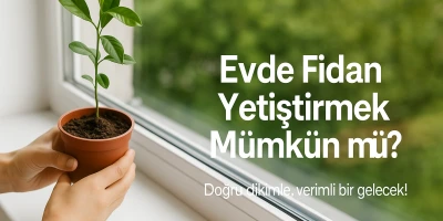 Evde Fidan Yetiştirmek Mümkün mü?