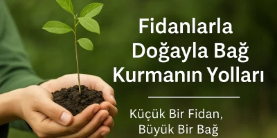 Fidanlarla Doğayla Bağ Kurmanın Yolları