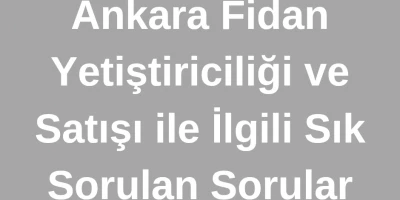 Ankara Fidan Yetiştiriciliği ve Satışı ile İlgili Sık Sorulan Sorular