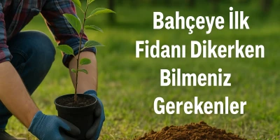 Bahçeye İlk Fidanı Dikerken Bilmeniz Gerekenler