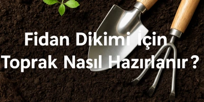 Fidan Dikimi İçin Toprak Nasıl Hazırlanır?