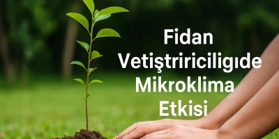 Fidan Yetiştiriciliğinde Mikroklima Etkisi