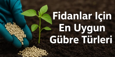 Fidanlar İçin En Uygun Gübre Türleri