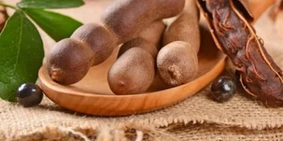 Hint Hurması Fidanı ile İlgili Sık Sorulan Sorular