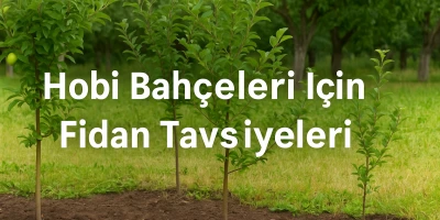 Hobi Bahçeleri İçin Fidan Tavsiyeleri