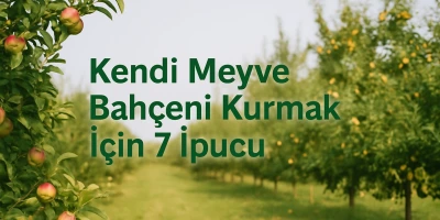 Kendi Meyve Bahçeni Kurmak İçin 7 İpucu