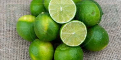 Lime Limon Fidanı ile İlgili Sık Sorulan Sorular