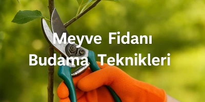 Meyve Fidanı Budama Teknikleri