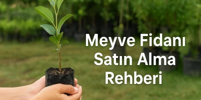 Meyve Fidanı Satın Alma Rehberi