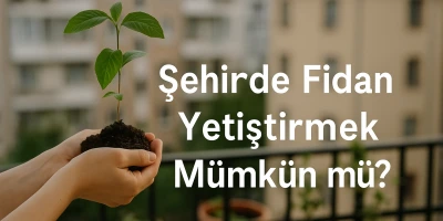 Şehirde Fidan Yetiştirmek Mümkün mü?