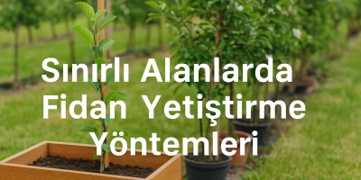 Sınırlı Alanlarda Fidan Yetiştirme Yöntemleri