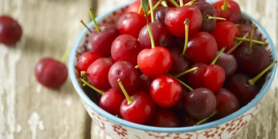 Vişne Fidanı ile İlgili Sık Sorulan Sorular