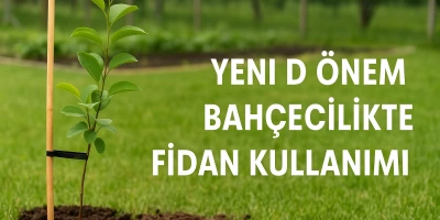 Yeni Dönem Bahçecilikte Fidan Kullanımı