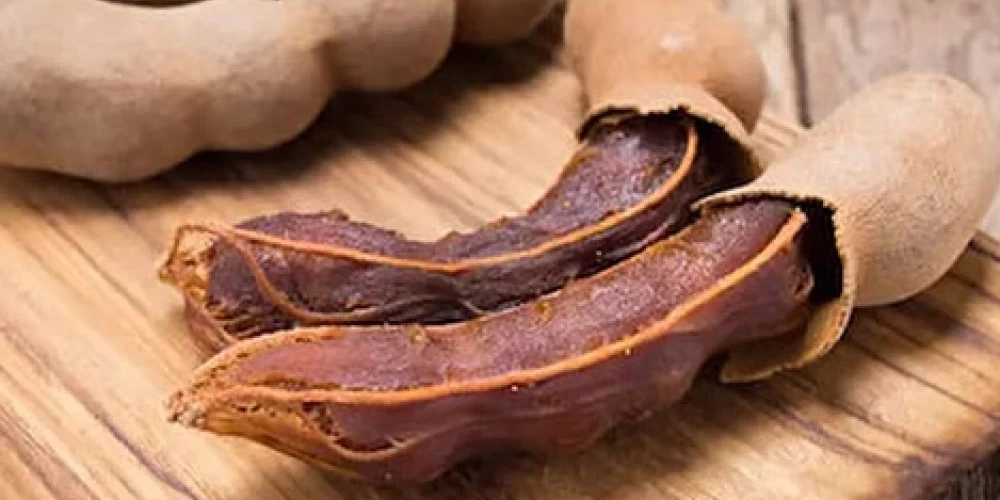 Demirhindi Fidanı ile İlgili Sık Sorulan Sorular