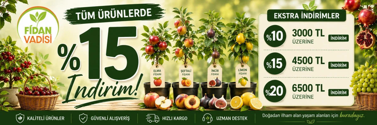 Ekstra İndirimler
