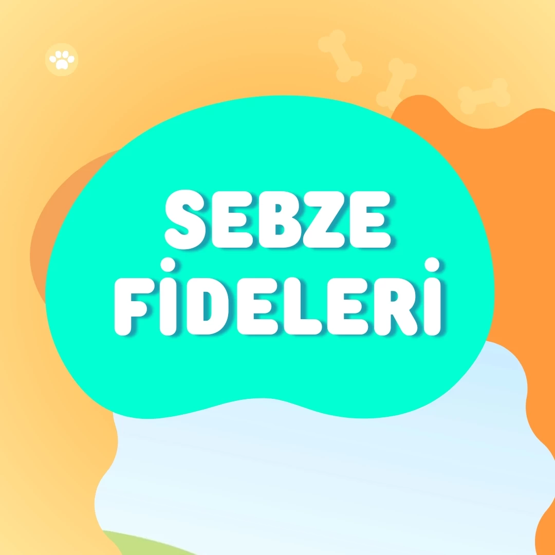 Sebze Fideleri