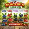 Aromatik 5Li Meyve Fidanı Seti