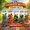 Aromatik 5Li Meyve Fidanı Seti