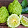 Bergamot Fidanı