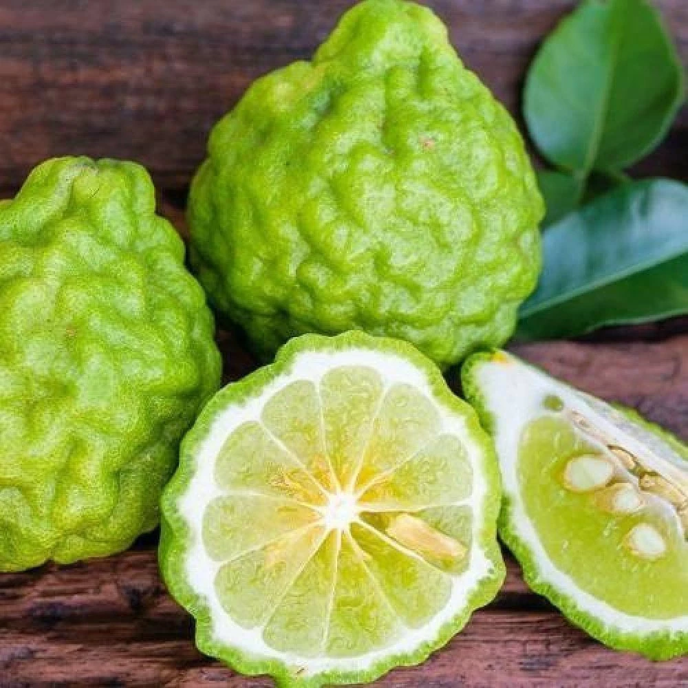 Bergamot Fidanı