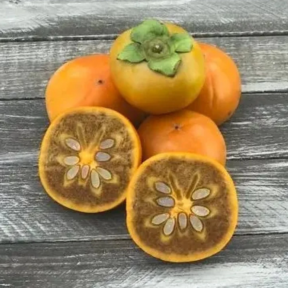 Çikolatalı Hachiya Trabzon Hurması Fidanı (4 Yaşında 130-150 cm)