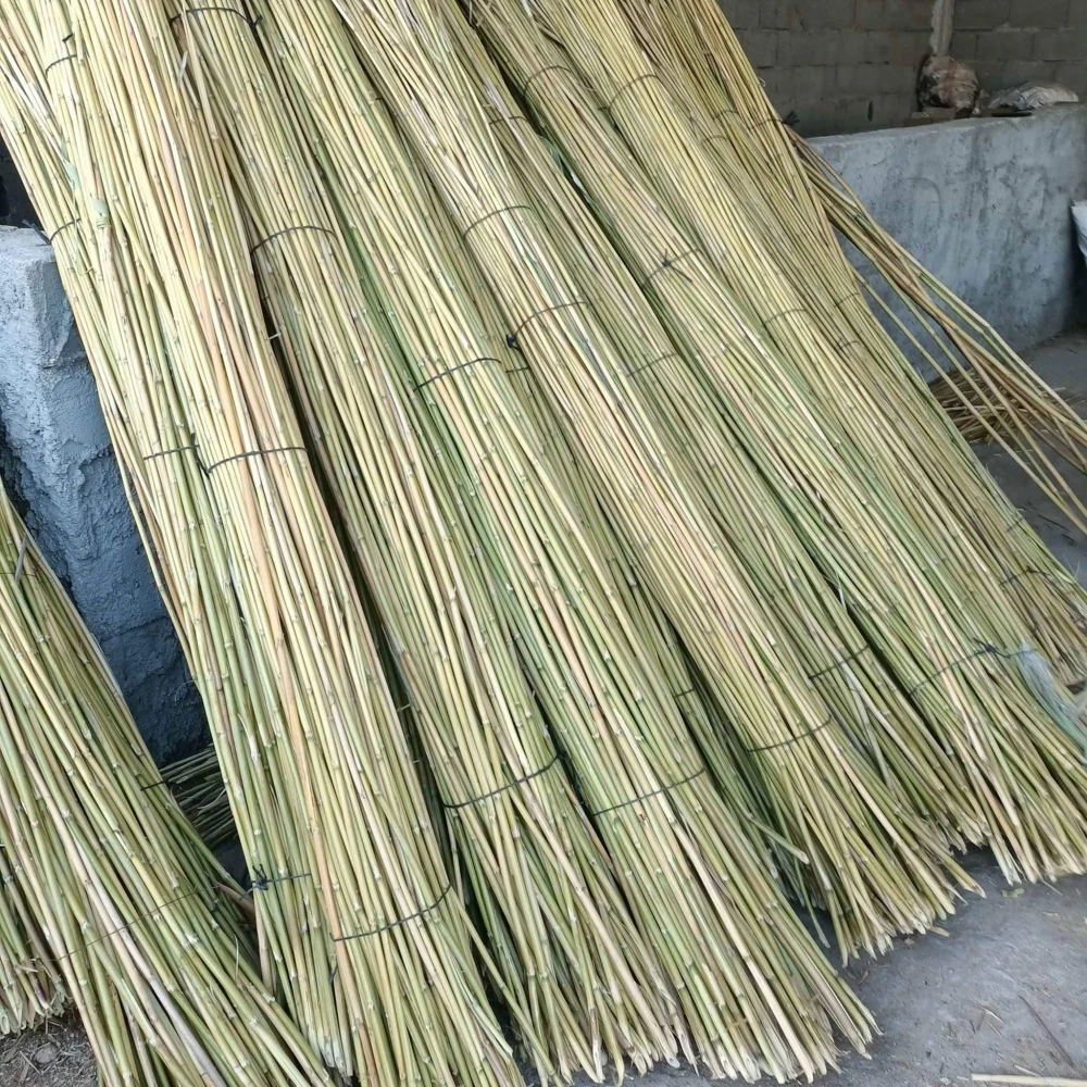 Fidan Dikim Destek Çubuğu (150cm)