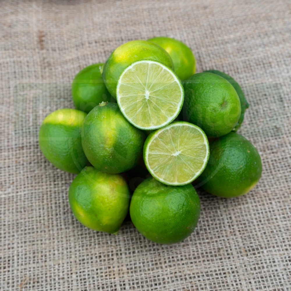 Misket (Lime) Limon Fidanı