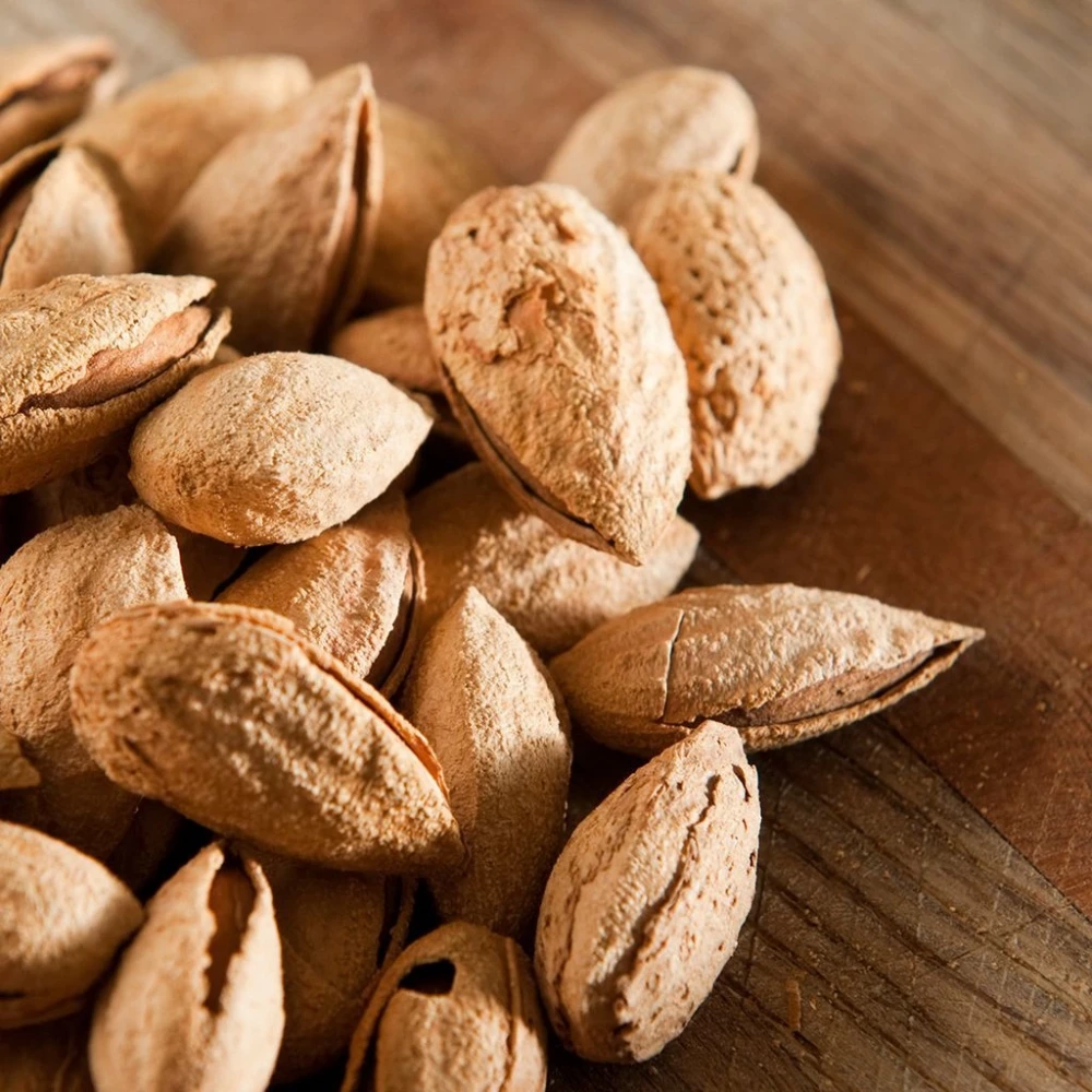 Nonpariel Badem Fidanı (3 Yaşında 100-120 cm)