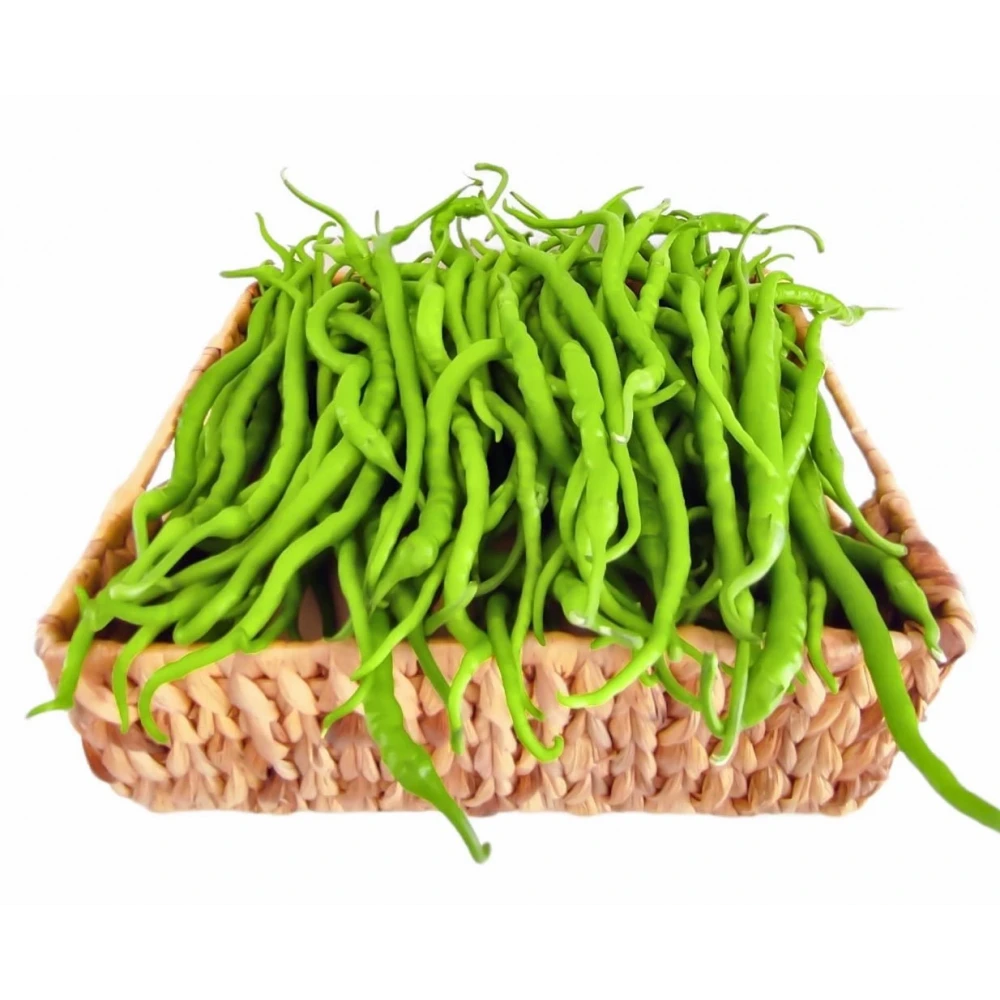 Tatlı Kıl Biber Fidesi