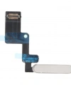 Apple iPad Air 6.Nesil 13 A2898 A2899 A2900 On Off Buton Güç Düğmesi Tuşu Yıldız Işığı Starlight